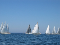 la solitaire 097